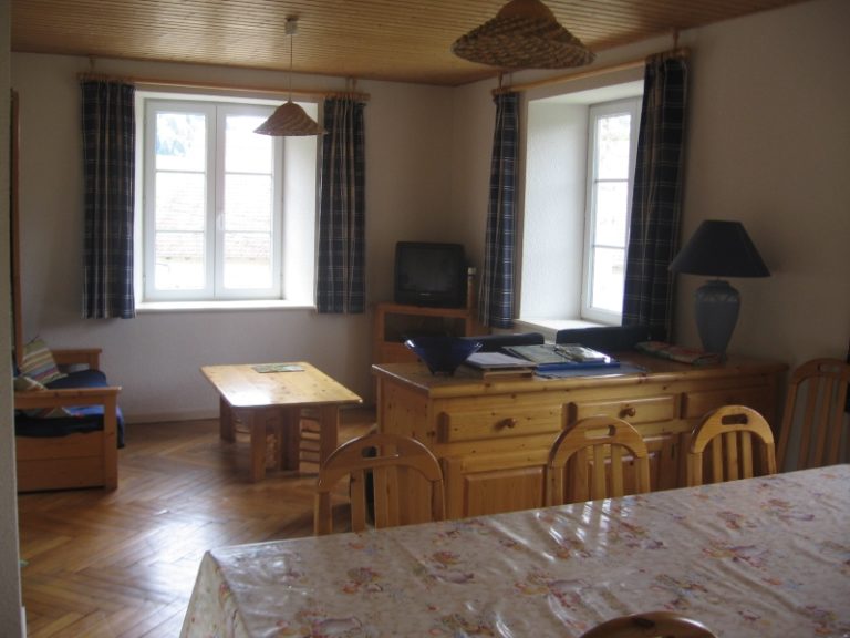 APPARTEMENT - COMMUNE DE LAVAL LE PRIEURÉ_1