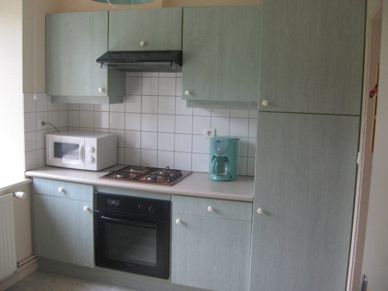 APPARTEMENT - COMMUNE DE LAVAL LE PRIEURÉ_2