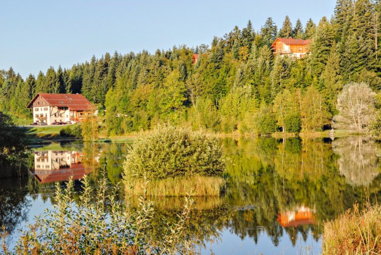 Etang du moulin-bonnetage