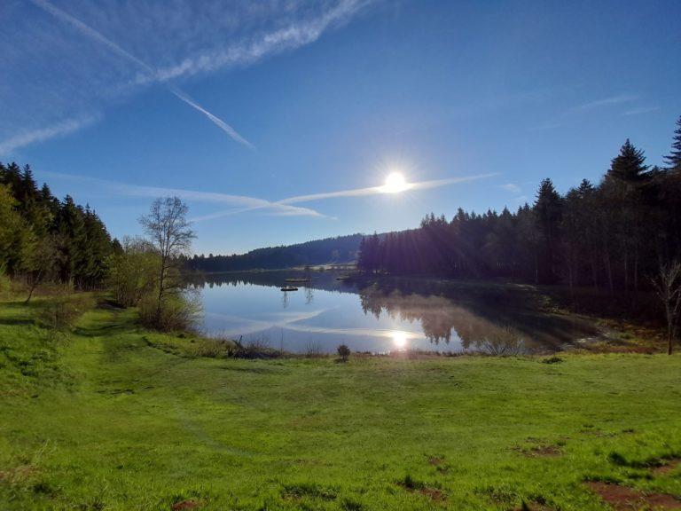 Etang du moulin