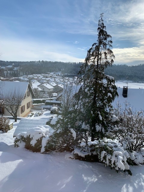 Gîte cocon plein sud extérieur-maiche