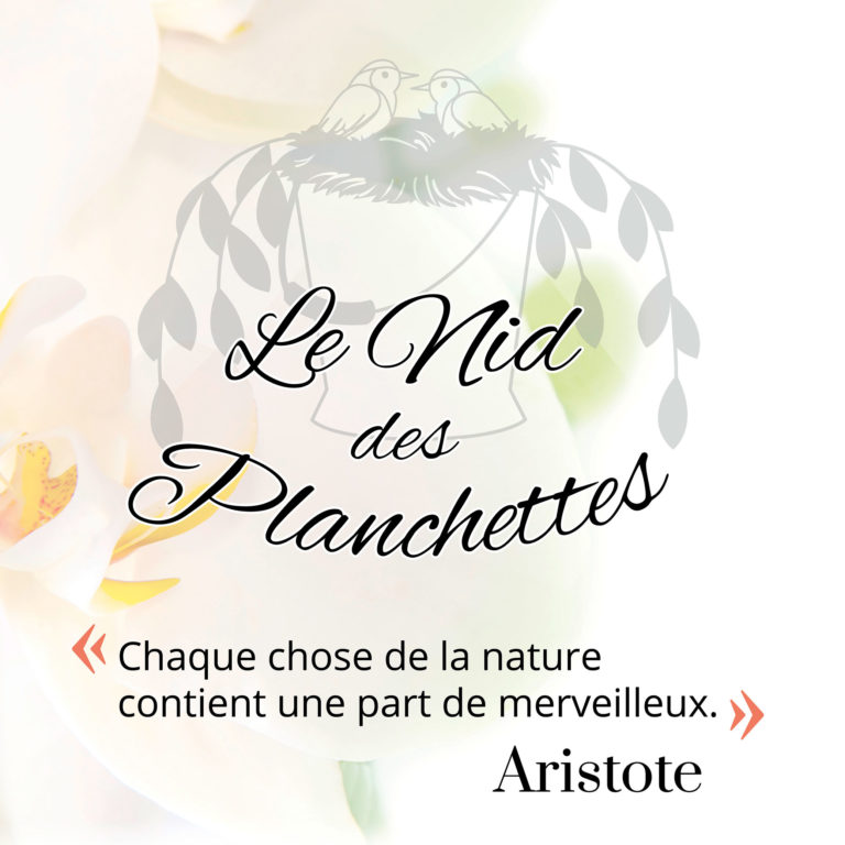 LOGO-Le-Nid-des-Planchettes-avec-citation