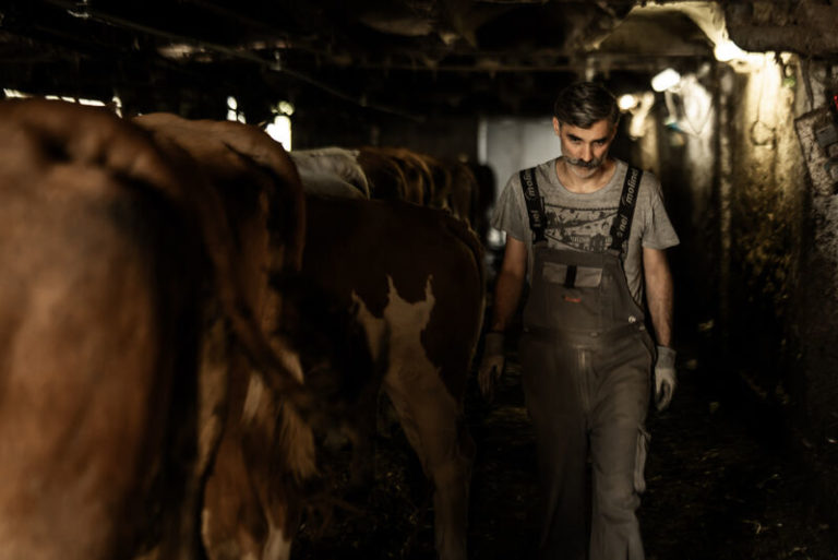 La Ferme des Louisots, chambre d'hôtes et ferme auberge