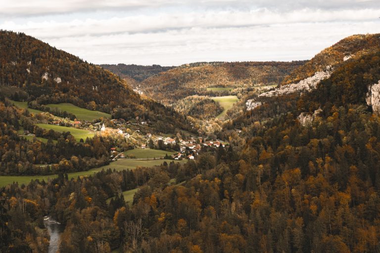 MDJ-GOUMOIS-