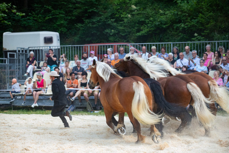 Spectacle-equestre-47