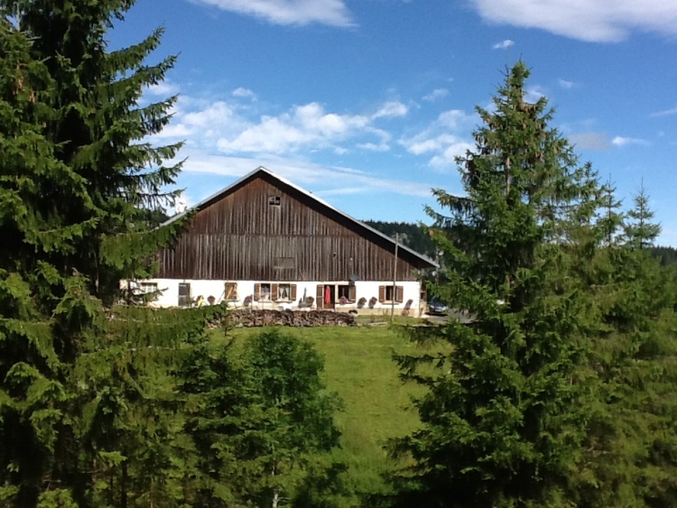 appartement-les-sapins-2.jpg