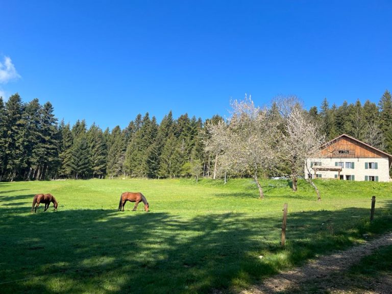 gîte-les-brosses-plaimbois-du-miroir