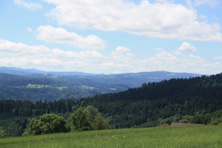 POINT DE VUE LE SEUD_2