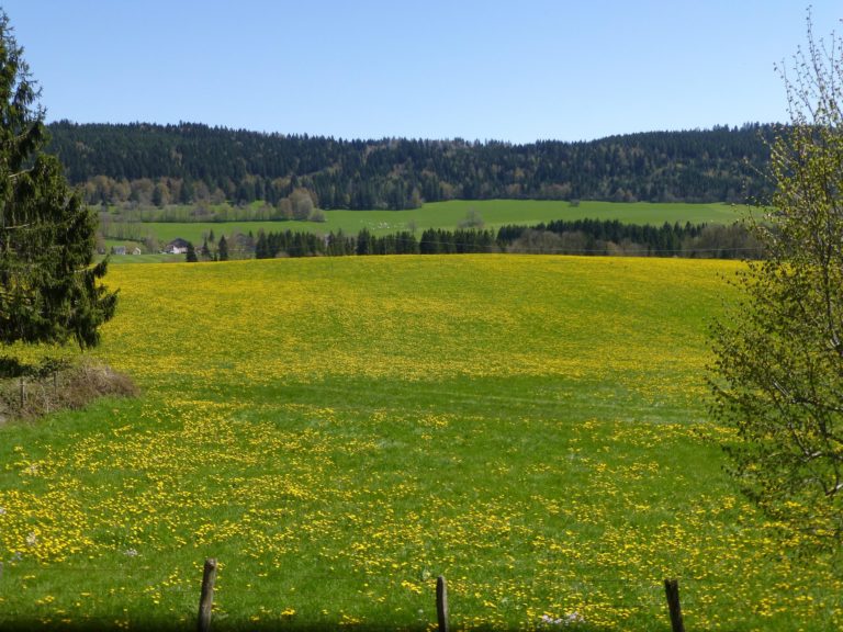 vue depuis le gîte