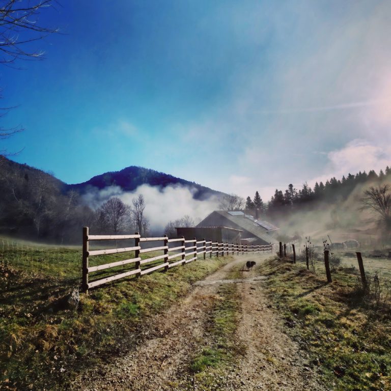 IMG_20260301_091806_edit_208071497892137