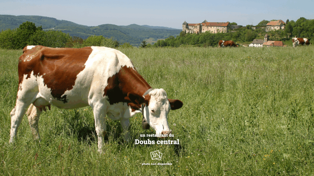 Photo-manquante-restaurant-3-Doubs-central-9.png