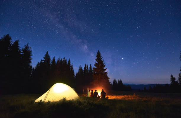 istockphoto-1213691432-612x612